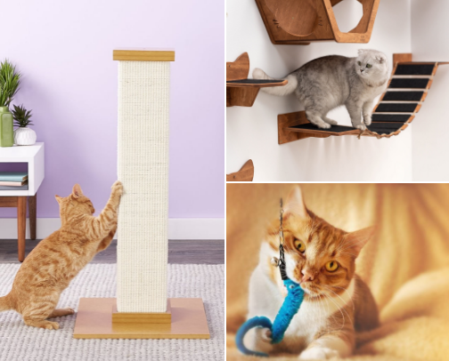 Essentials for New Cat Parents cover photo collage