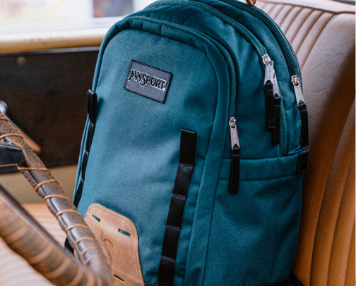 What's in my pet sitting bag cover photo collage