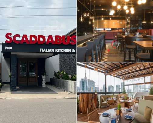 Dinner Spots That Feel Like a Celebration cover photo collage