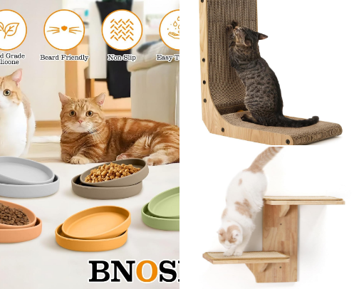 My Cats’ Favorite Essentials (Tested Cat Products & Cat Owner Finds) cover photo collage