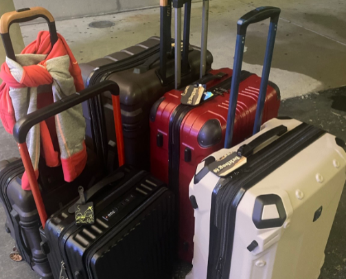 What we actually travel with ✈️ cover photo collage