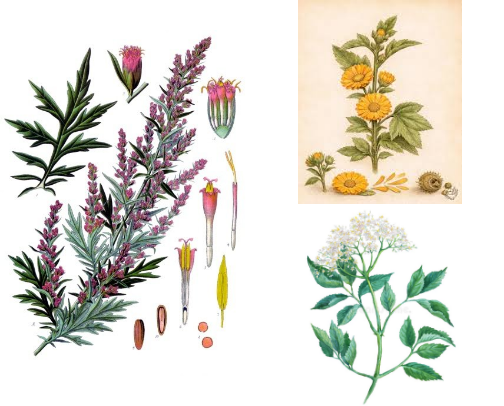 The Spirit of the Garden: Ancient Tea Profiles cover photo collage