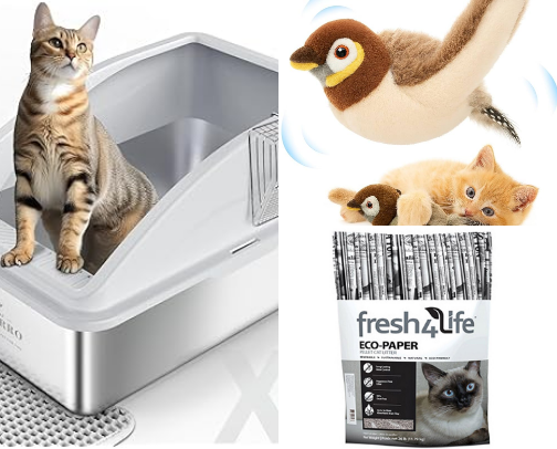 Kitten Essentials! 🐾 cover photo collage
