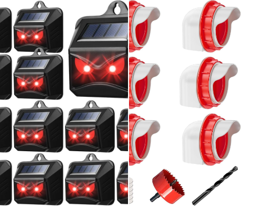 Living On A Small Farm In South Texas cover photo collage