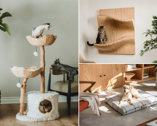 For Pets, But Make It Aesthetic cover photo collage