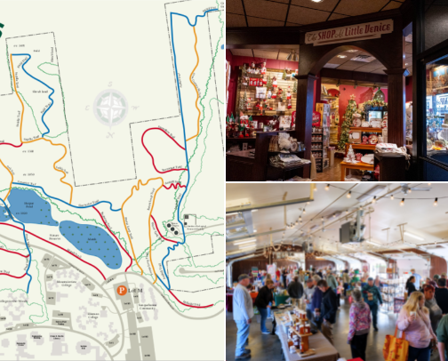 Binghamton 101 cover photo collage