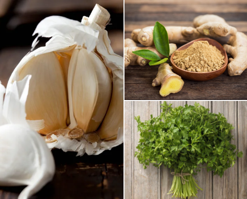 Herbs for Health : Dr Convenience store cover photo collage