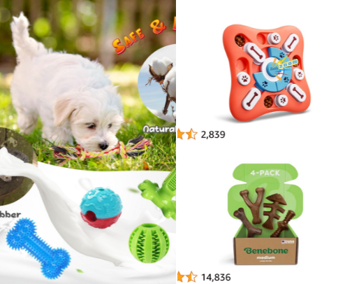 The Pet Gazette cover photo collage