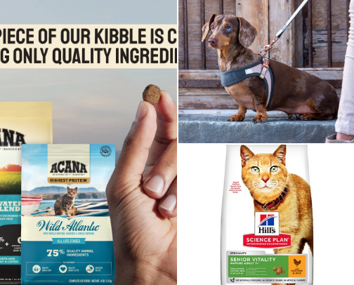 FUR BABIES! cover photo collage