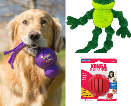Dog food and toys! cover photo collage