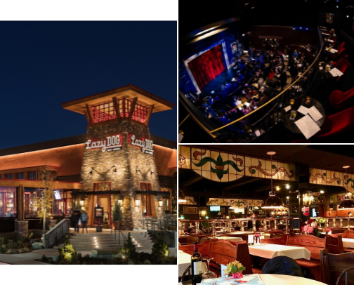 Chicago Bucketlist cover photo collage