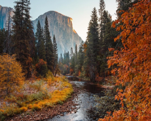 Yosemite Fall Trip 2026 | What to Pack, Wear, & Do cover photo collage