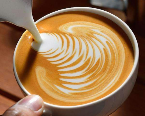 The Best Coffee Beans & Grinds: Top-Rated Roasts Worth the Brew ☕️ cover photo collage