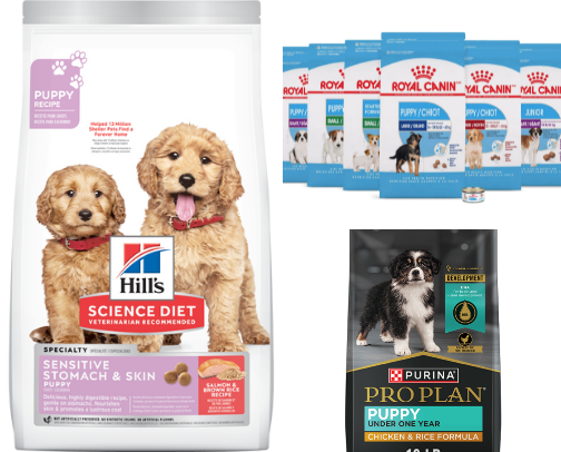 New Pup Necessities cover photo collage