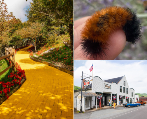 Of the Mountains, For the Mountains cover photo collage