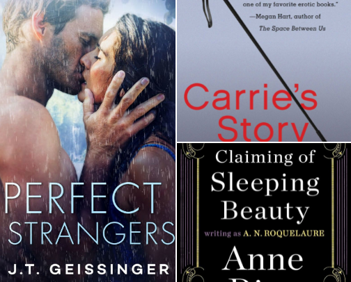 Spicy Romance Books with Plots cover photo collage