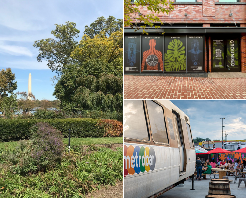 My Go-To Spots In D.C 🌆. cover photo collage