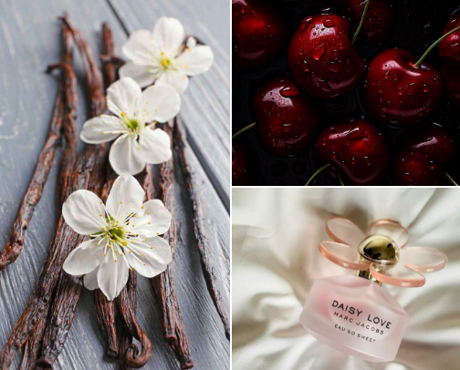 Pick Your Scent – Floral, Cherry, or Vanilla Bliss? cover photo collage