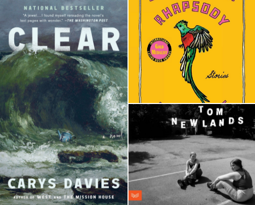 15 Quietly Brilliant Books Most Readers Have Never Heard Of cover photo collage