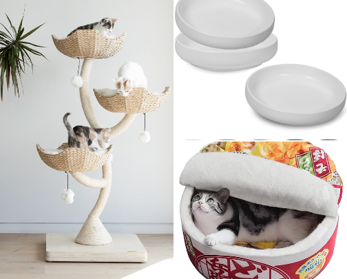 Kitten necessities 🐈‍⬛ cover photo collage