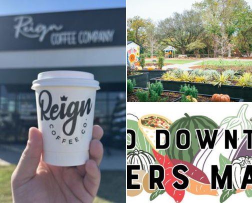 Local List cover photo collage