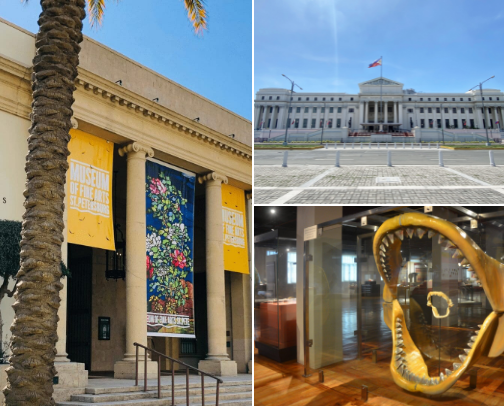 Echoes of Time: A Journey Through History cover photo collage