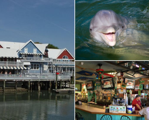 Hilton Head Island cover photo collage
