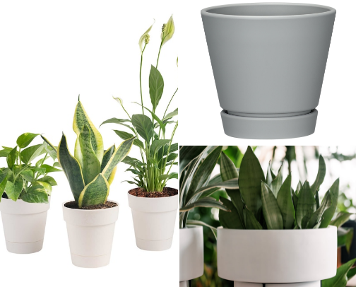 Dopamine Fall menu for busy moms cover photo collage