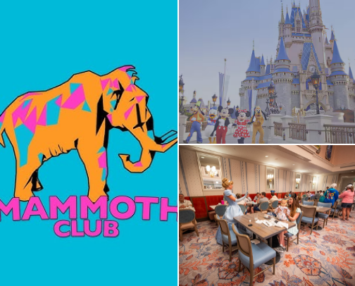 Disney World cover photo collage