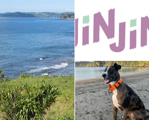 Dog friendly recs in Leigh, NZ cover photo collage