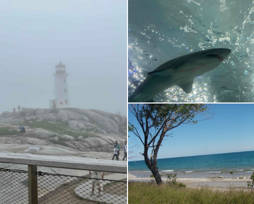 Sites to see ! cover photo collage