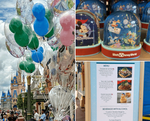 Top Disney Park Tips cover photo collage