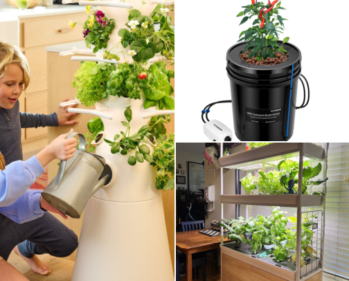 Grow Food Without Soil: Hydroponic Supplies Guide cover photo collage