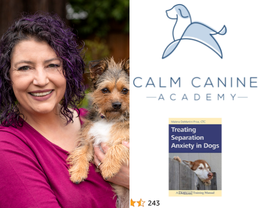 🎶 “I’ll be there for you” 🎶 HELP FOR PUPS WITH CLINICAL SEPARATION ANXIETY cover photo collage