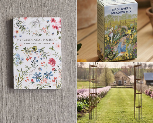 For the love of plants cover photo collage