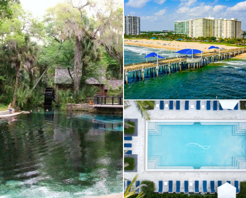 Day trips in Florida cover photo collage
