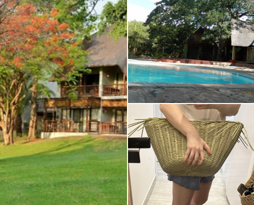 Kasane safari lodges cover photo collage