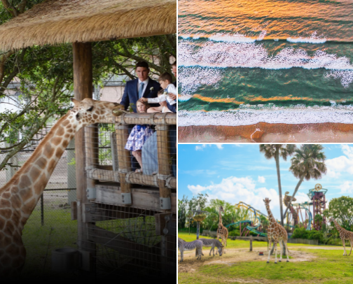 Places to visit for a weekend getaway if you live in the Coastal Georgia region cover photo collage
