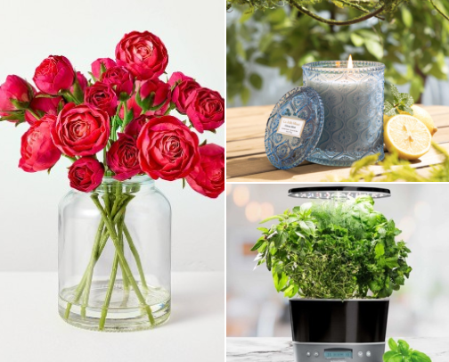 Spring Home Refresh Finds for a Brighter, Fresher Space cover photo collage
