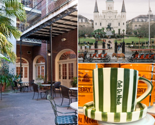 Beyond the Bayou: A Journey Through the Beauty of the Crescent City. ✨️ cover photo collage