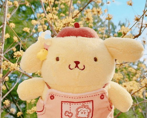for sanrio girls 🐰 cover photo collage