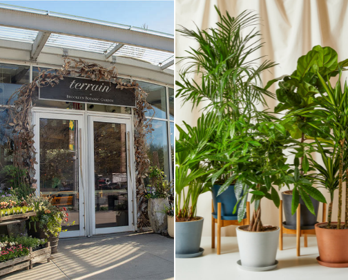 Modern Plant Market cover photo collage