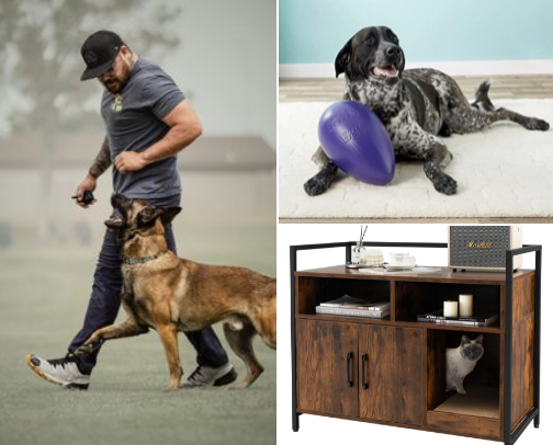 Pet Faves cover photo collage