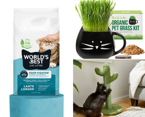 Crazy Cat Lady Essentials cover photo collage