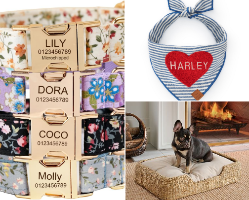 Bougie Pup cover photo collage