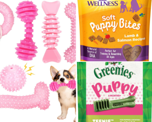 Puppy must haves! cover photo collage