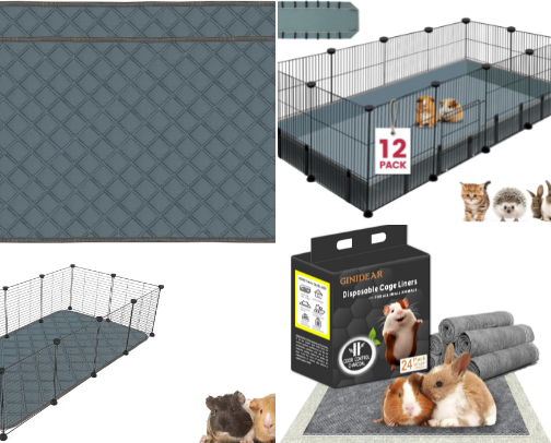 Guinea Pig Needs first time owners! cover photo collage