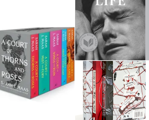 books/series i gave 5 stars! cover photo collage