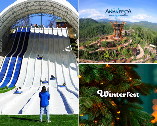 Tennessee Winter cover photo collage