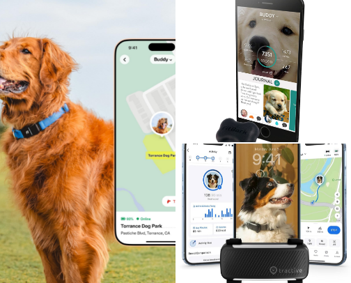 Where are my dogs!? cover photo collage